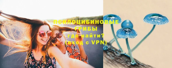 гашик Верхнеуральск