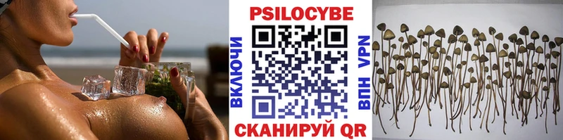 Псилоцибиновые грибы Cubensis  Острогожск 